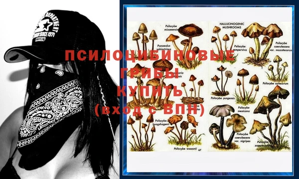 ПСИЛОЦИБИНОВЫЕ ГРИБЫ Дмитров