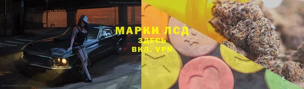 ПСИЛОЦИБИНОВЫЕ ГРИБЫ Дмитров