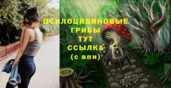 каннабис Дмитриев
