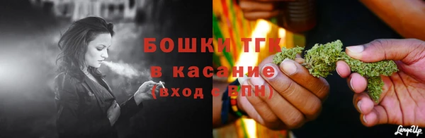 ПСИЛОЦИБИНОВЫЕ ГРИБЫ Дмитров