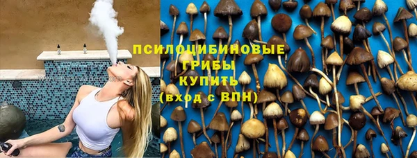 индика Россошь