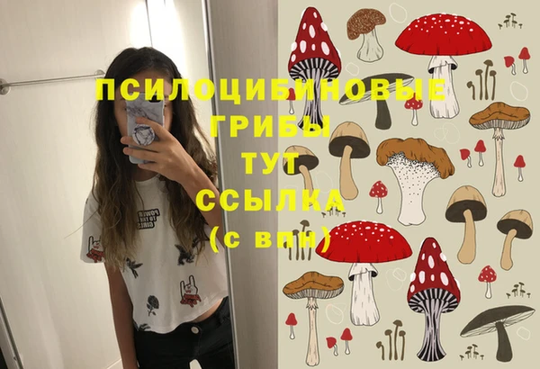 ALPHA PVP Дмитровск