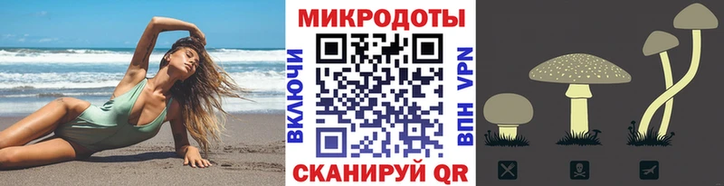 Галлюциногенные грибы Psilocybe  Рузаевка 