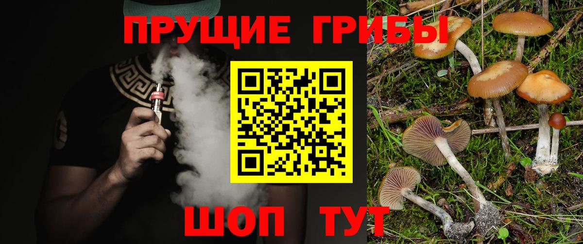 Псилоцибиновые грибы мицелий  наркотики  Рузаевка 