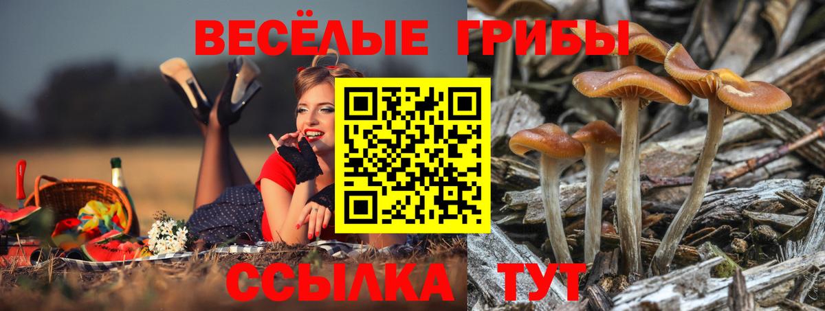 Галлюциногенные грибы MAGIC MUSHROOMS Рузаевка